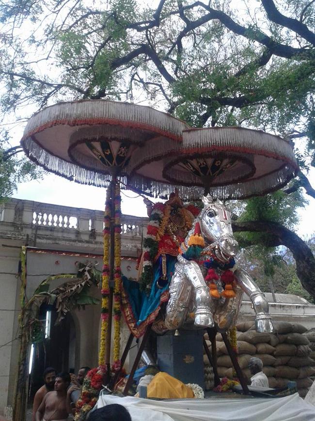 Thirukurungudi-Sri-Azhagiya-Nambi9