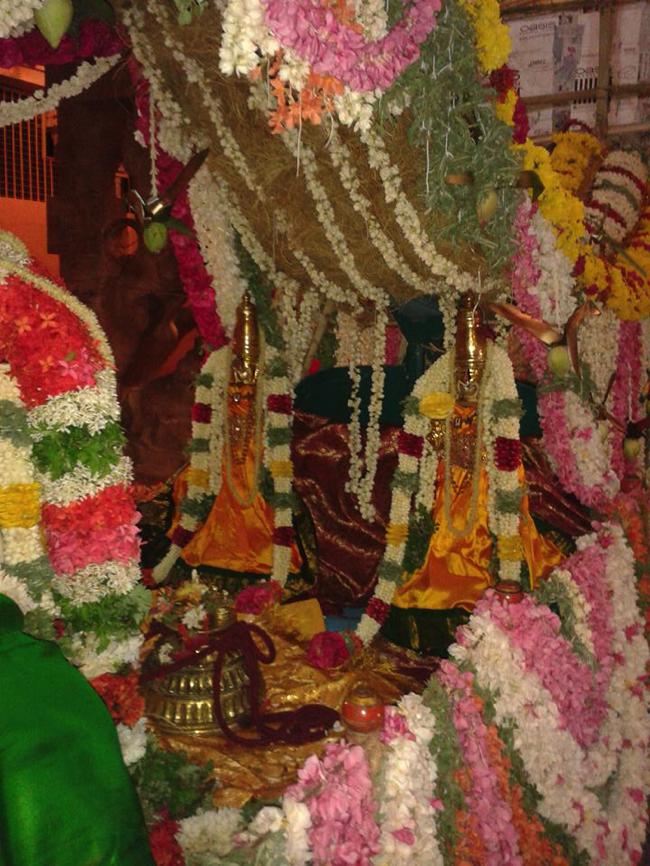 Thirukurungudi-Sri-Azhagiya-Nambi_11