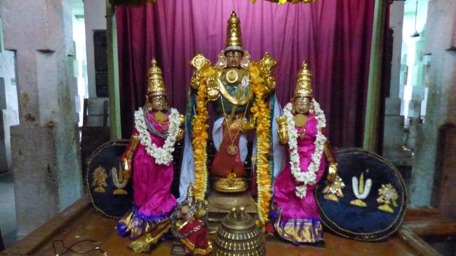 Thiruthanka Sri Vilakoli Perumal Temple 006