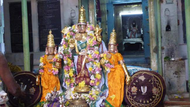 Thiruthanka Sri Vilakoli Perumal Temple 008