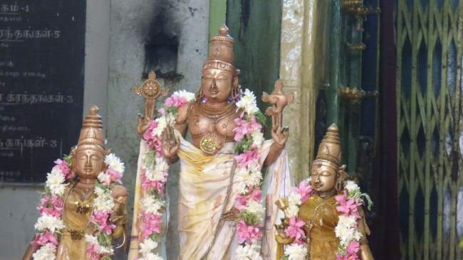 Thiruthanka Sri Vilakoli Perumal Temple 021