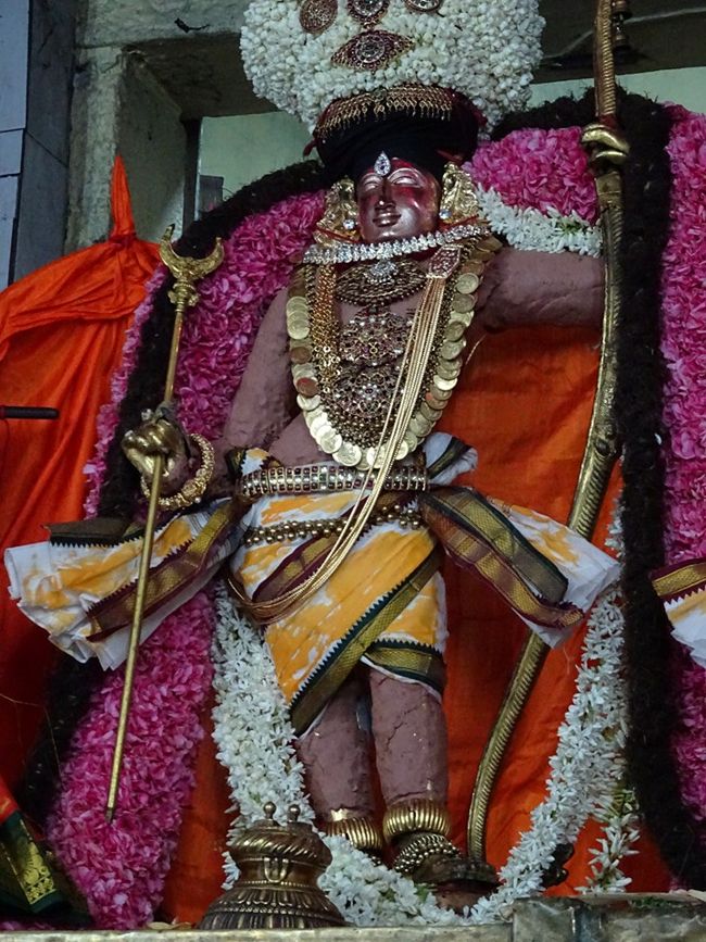 Thiruvahindrapuram-Sri-Devanathan-Perumal10