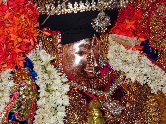 Thiruvahindrapuram-Sri-Devanathan-Perumal10