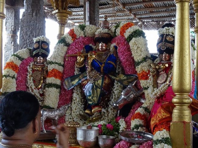 Thiruvahindrapuram-Sri-Devanathan-Perumal11