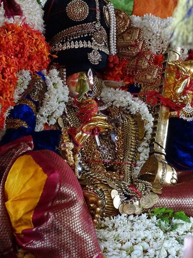 Thiruvahindrapuram-Sri-Devanathan-Perumal12