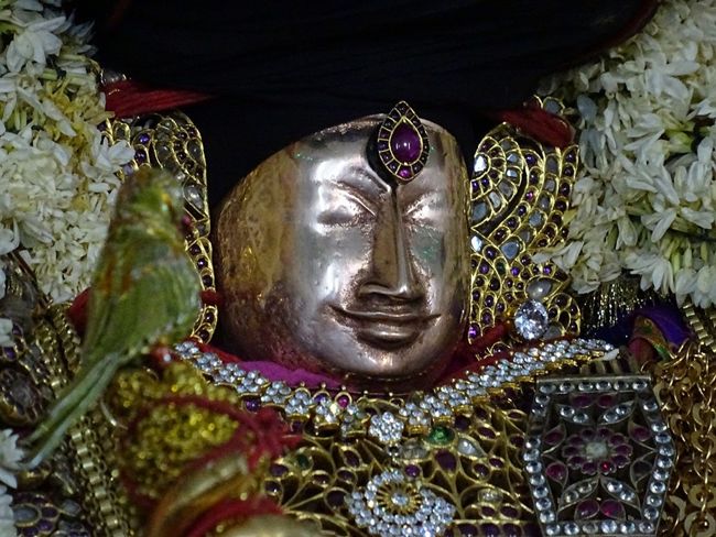 Thiruvahindrapuram-Sri-Devanathan-Perumal14