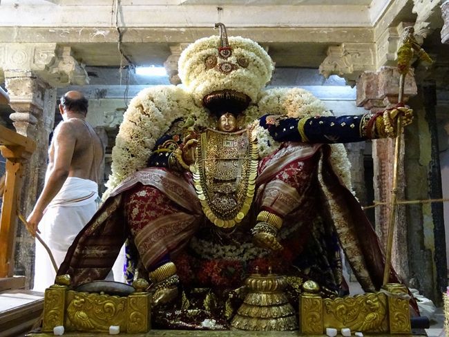 Thiruvahindrapuram-Sri-Devanathan-Perumal15