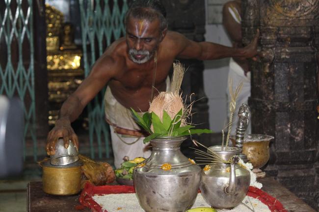 Thiruvahindrapuram-Sri-Devanathan-Perumal16