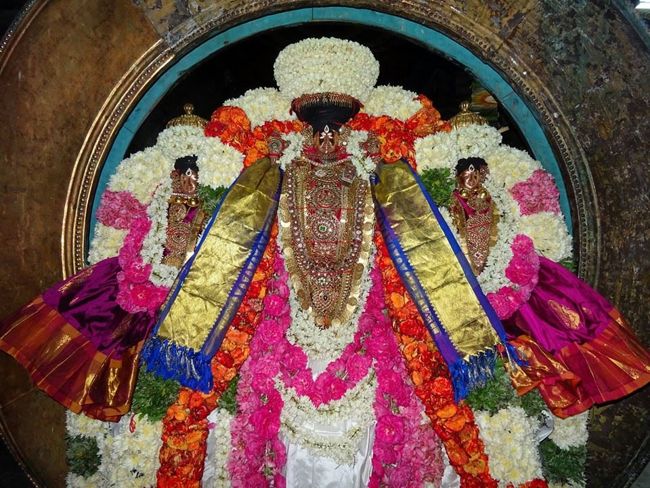 Thiruvahindrapuram-Sri-Devanathan-Perumal18