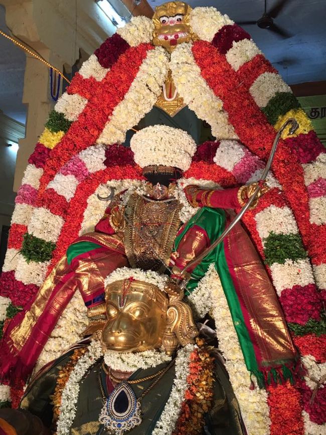 Thiruvahindrapuram-Sri-Devanathan-Perumal18