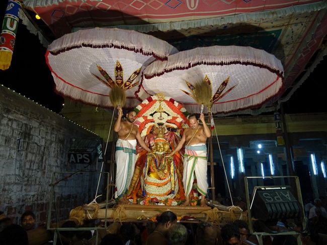 Thiruvahindrapuram-Sri-Devanathan-Perumal19