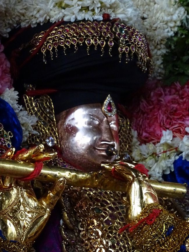 Thiruvahindrapuram-Sri-Devanathan-Perumal20