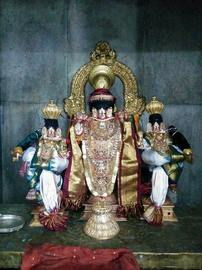 Thiruvahindrapuram-Sri-Devanathan-Perumal21