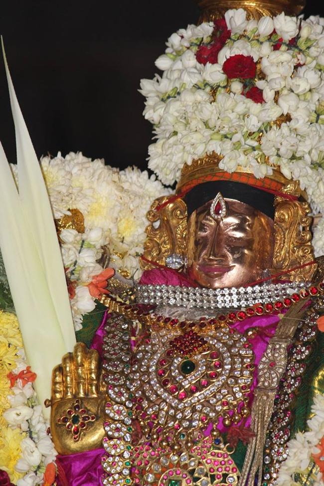 Thiruvahindrapuram-Sri-Devanathan-Perumal22