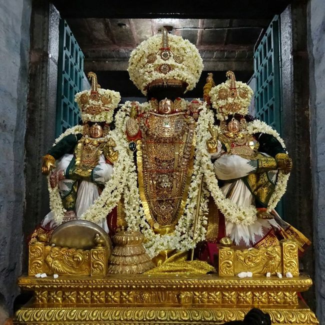 Thiruvahindrapuram-Sri-Devanathan-Perumal23