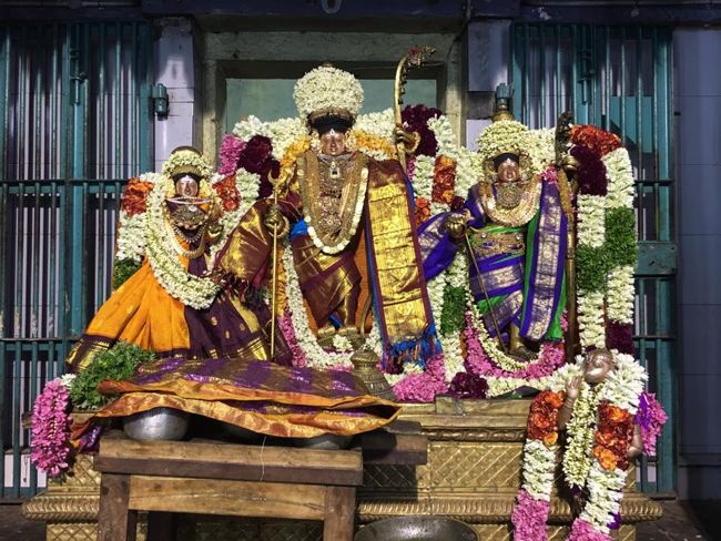 Thiruvahindrapuram-Sri-Devanathan-Perumal6