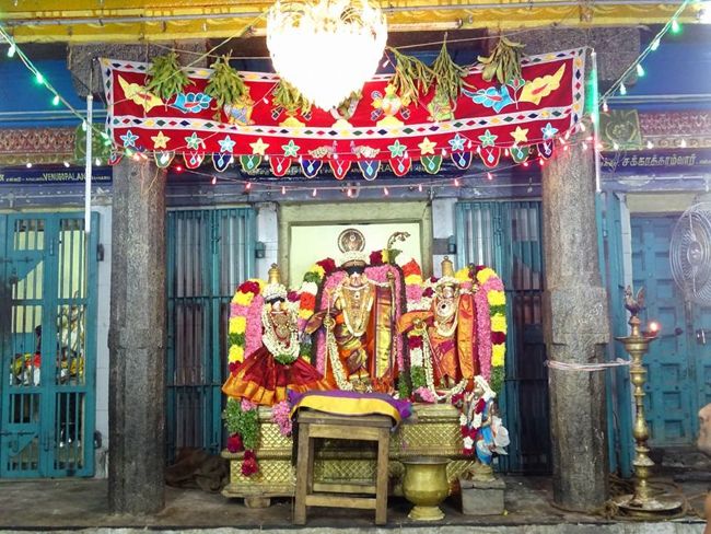 Thiruvahindrapuram-Sri-Devanathan-Perumal6