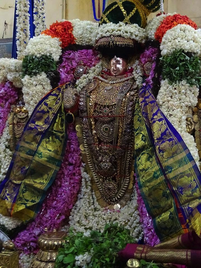 Thiruvahindrapuram_Devanatha_Perumal_Day9_00