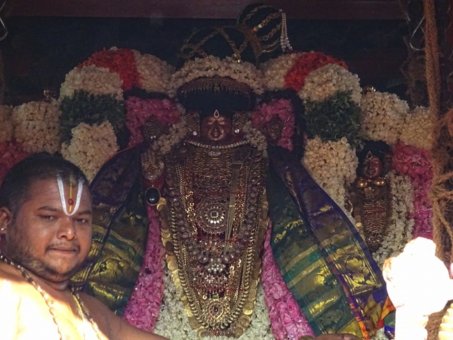 Thiruvahindrapuram_Devanatha_Perumal_Day9_07