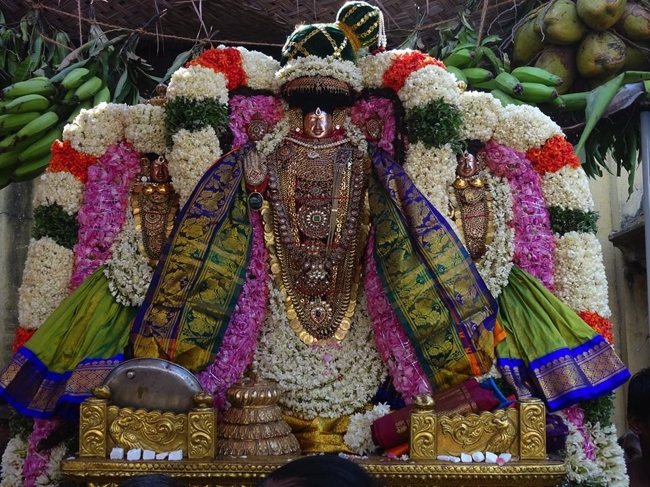 Thiruvahindrapuram_Devanatha_Perumal_Day9_14