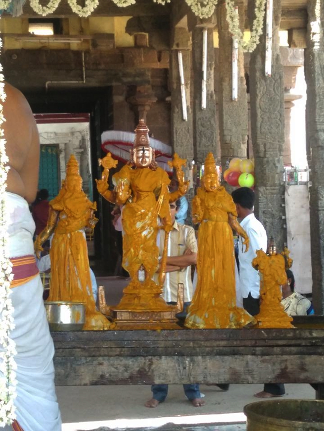 Thiruvahindrapuram_Devanatha_Perumal_Theertavari_Day9_03