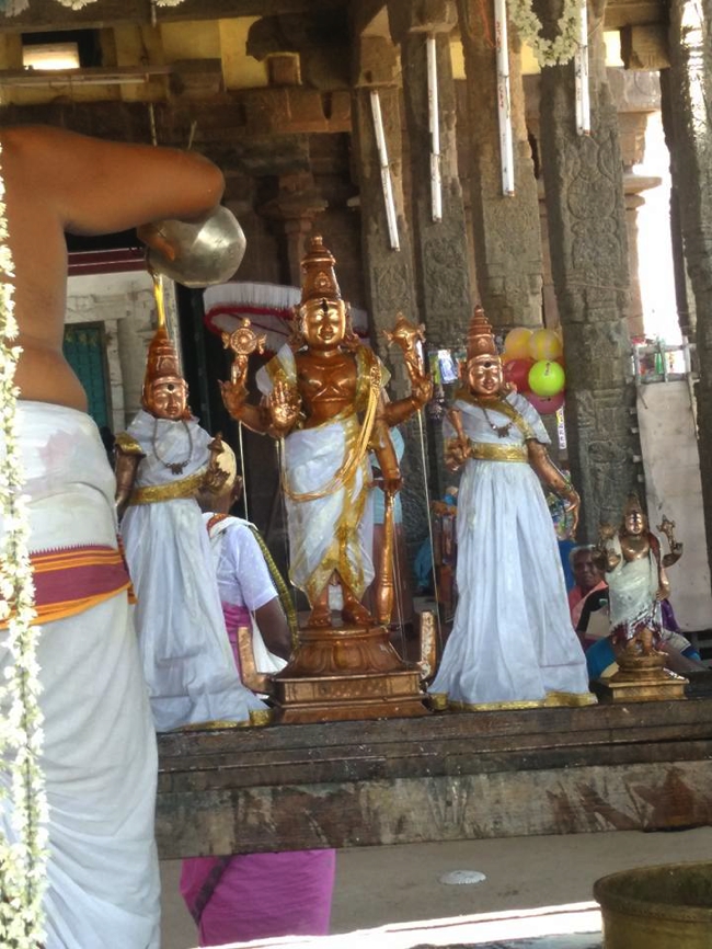 Thiruvahindrapuram_Devanatha_Perumal_Theertavari_Day9_04