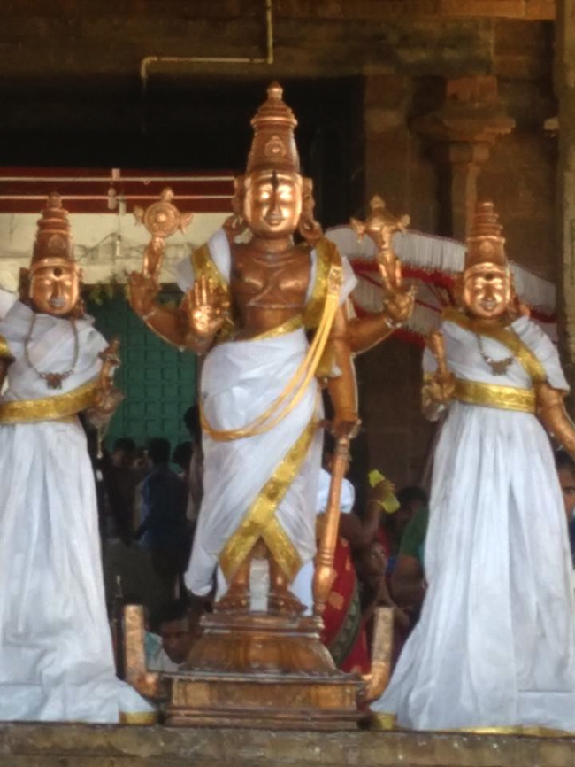 Thiruvahindrapuram_Devanatha_Perumal_Theertavari_Day9_05