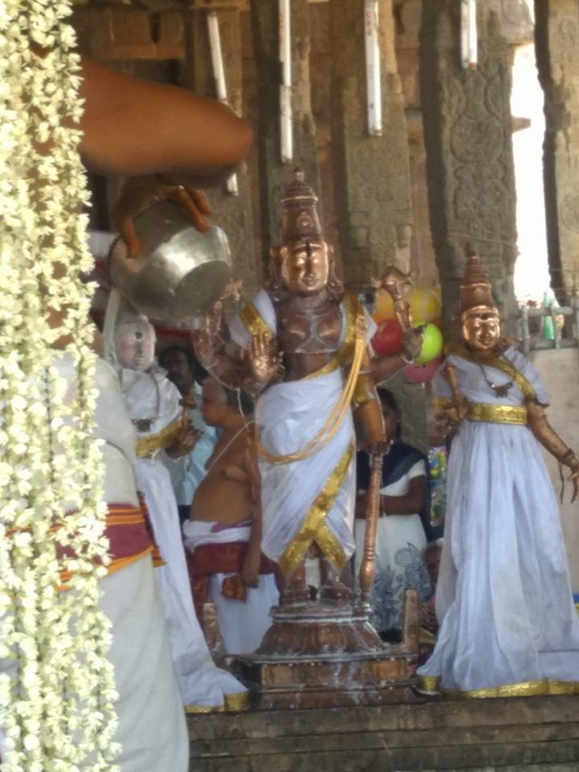 Thiruvahindrapuram_Devanatha_Perumal_Theertavari_Day9_06