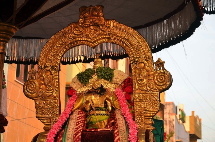 Thiruvallikeni-Sri-Parthasarathy-Swami-03