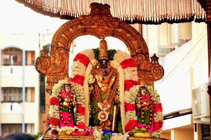 Thiruvallikeni-Sri-Parthasarathy-Swami-04