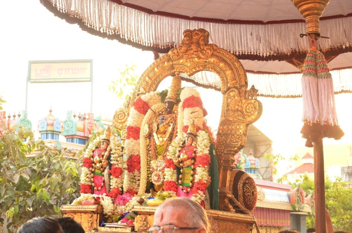 Thiruvallikeni-Sri-Parthasarathy-Swami-06