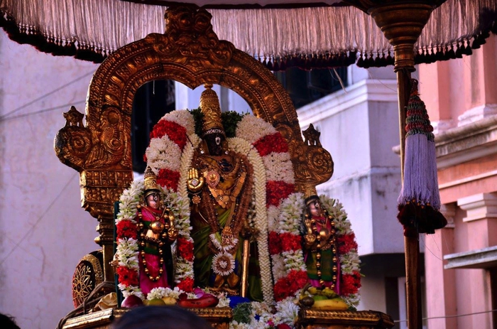 Thiruvallikeni-Sri-Parthasarathy-Swami-07