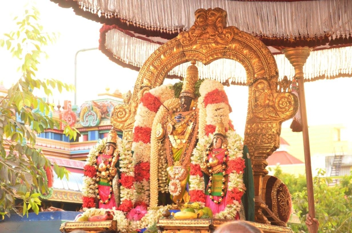 Thiruvallikeni-Sri-Parthasarathy-Swami-08