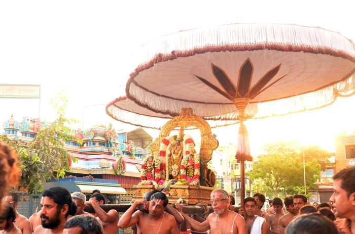 Thiruvallikeni-Sri-Parthasarathy-Swami-09