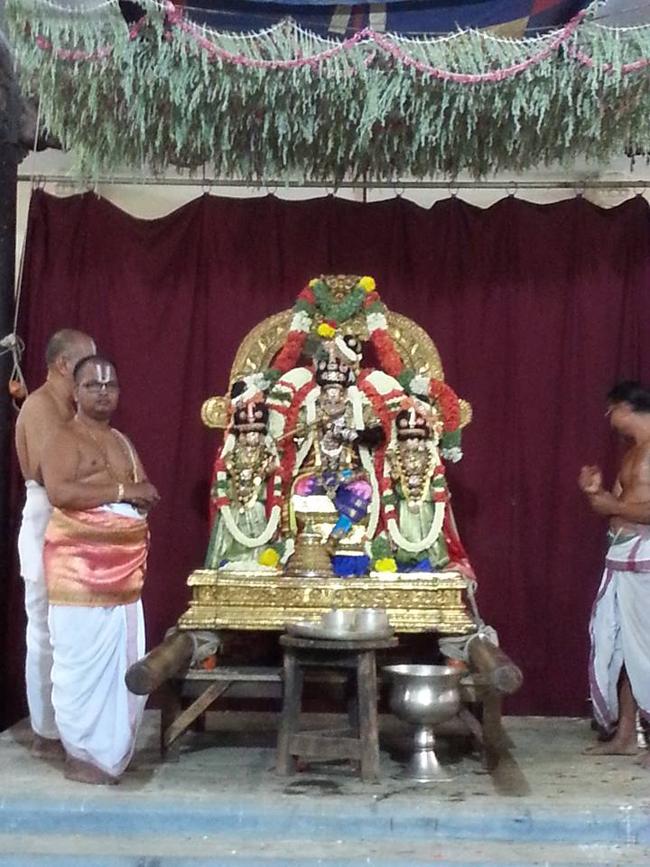 Thiruvallikeni-Sri-Parthasarathy-Swami10