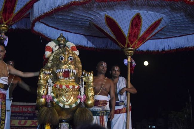 Thiruvallikeni-Sri-Parthasarathy-Swami1