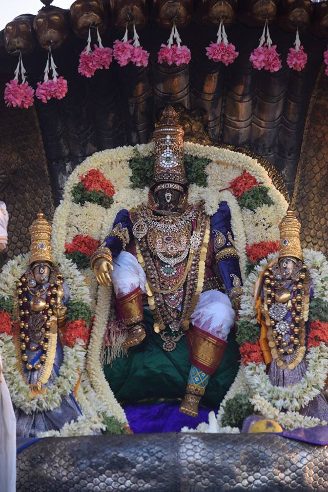 Thiruvallikeni-Sri-Parthasarathy-Swami11