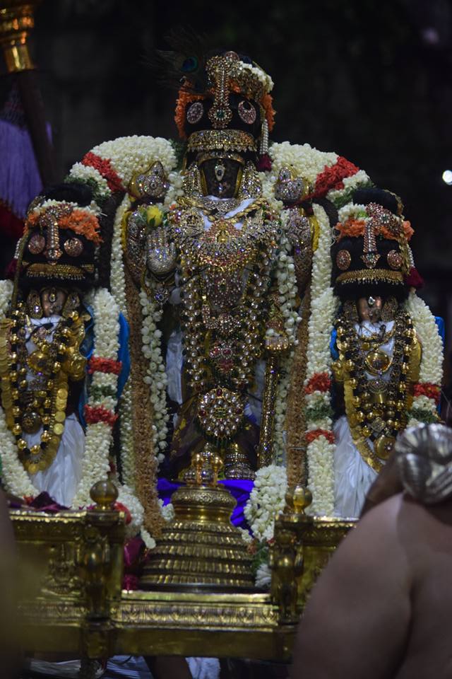 Thiruvallikeni-Sri-Parthasarathy-Swami12