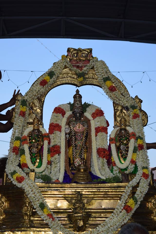 Thiruvallikeni-Sri-Parthasarathy-Swami15