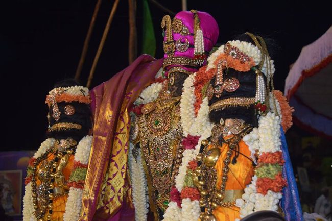 Thiruvallikeni-Sri-Parthasarathy-Swami16