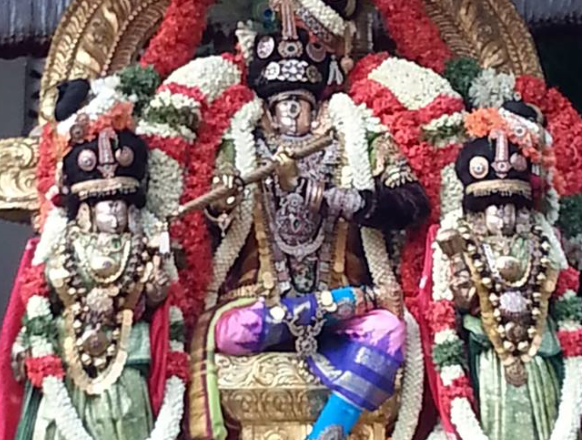 Thiruvallikeni-Sri-Parthasarathy-Swami17