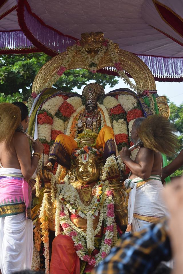 Thiruvallikeni-Sri-Parthasarathy-Swami18