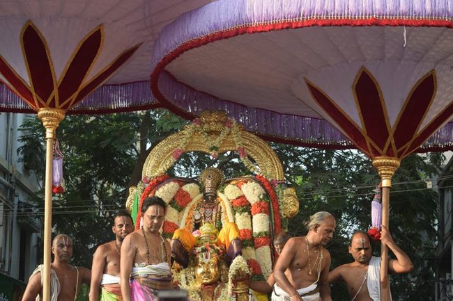 Thiruvallikeni-Sri-Parthasarathy-Swami20