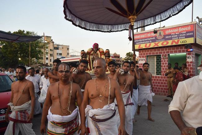 Thiruvallikeni-Sri-Parthasarathy-Swami2