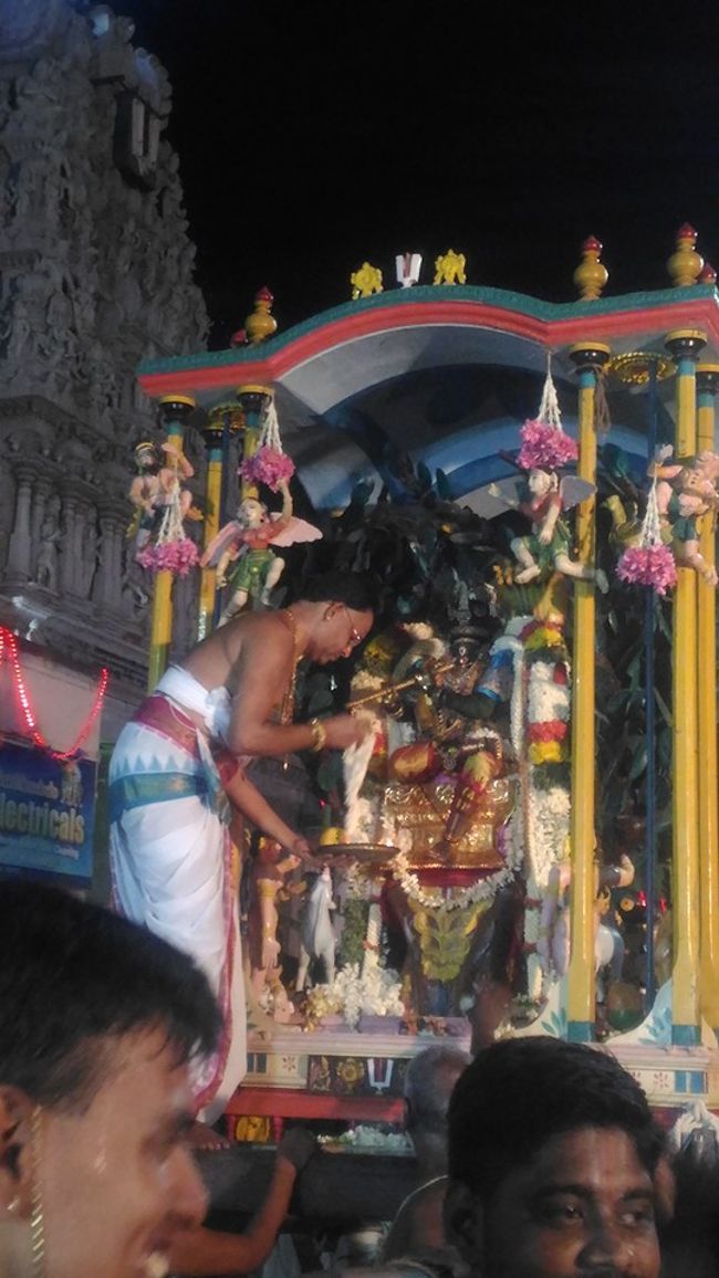 Thiruvallikeni-Sri-Parthasarathy-Swami22