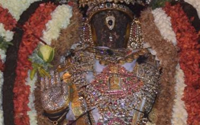 Thiruvallikeni-Sri-Parthasarathy-Swami23