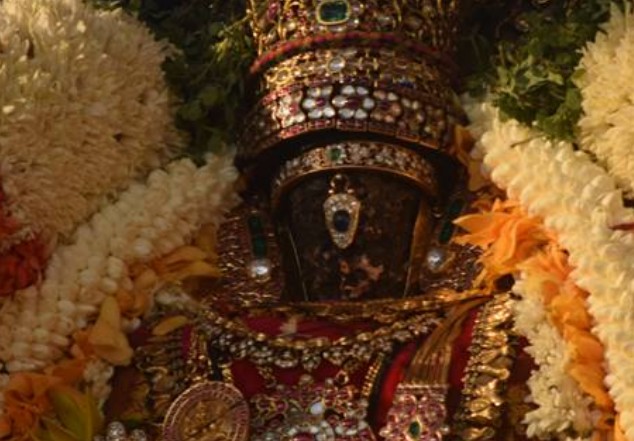 Thiruvallikeni-Sri-Parthasarathy-Swami25