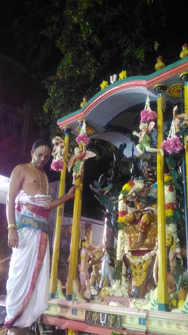 Thiruvallikeni-Sri-Parthasarathy-Swami28