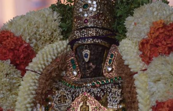 Thiruvallikeni-Sri-Parthasarathy-Swami31