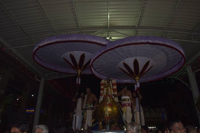 Thiruvallikeni-Sri-Parthasarathy-Swami4
